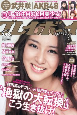 樊胜美