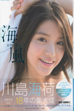 萌探探探案2024